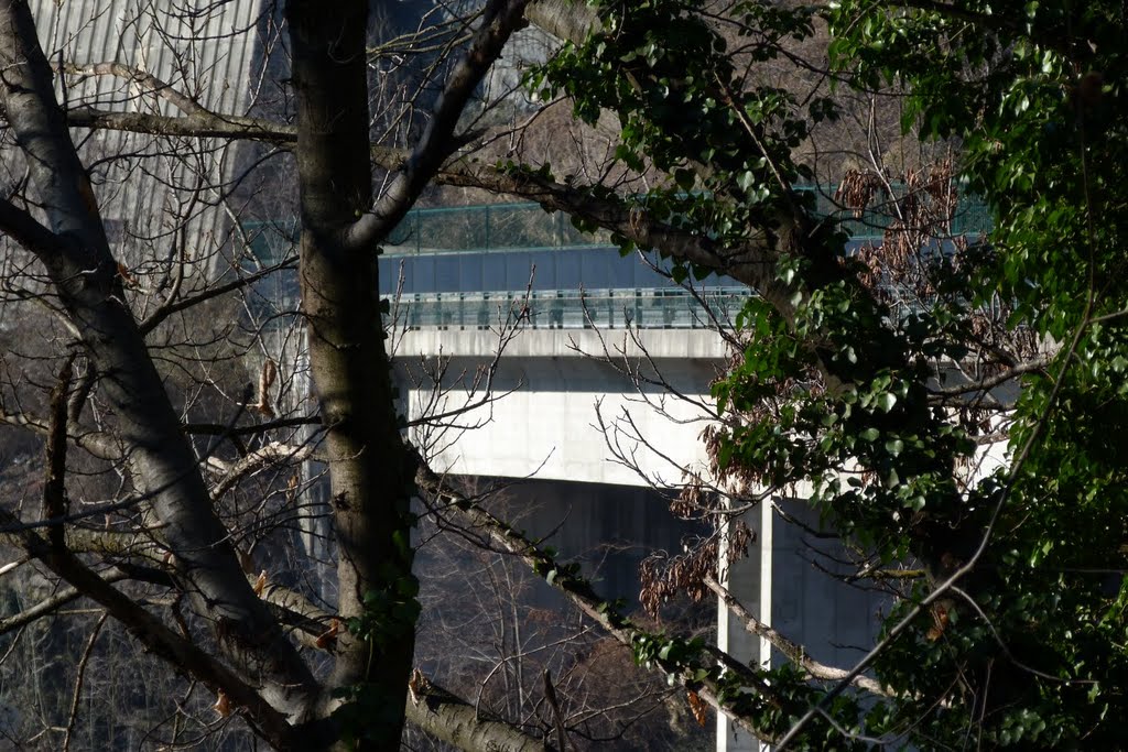 Il ponte di Castionetto visto tra i rami by Rossano Nana