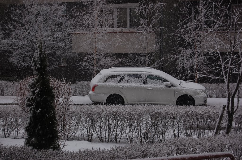 Ubiegłoroczna zima na Bemowie / Last year's winter in Bemowo district by cvn i tapir