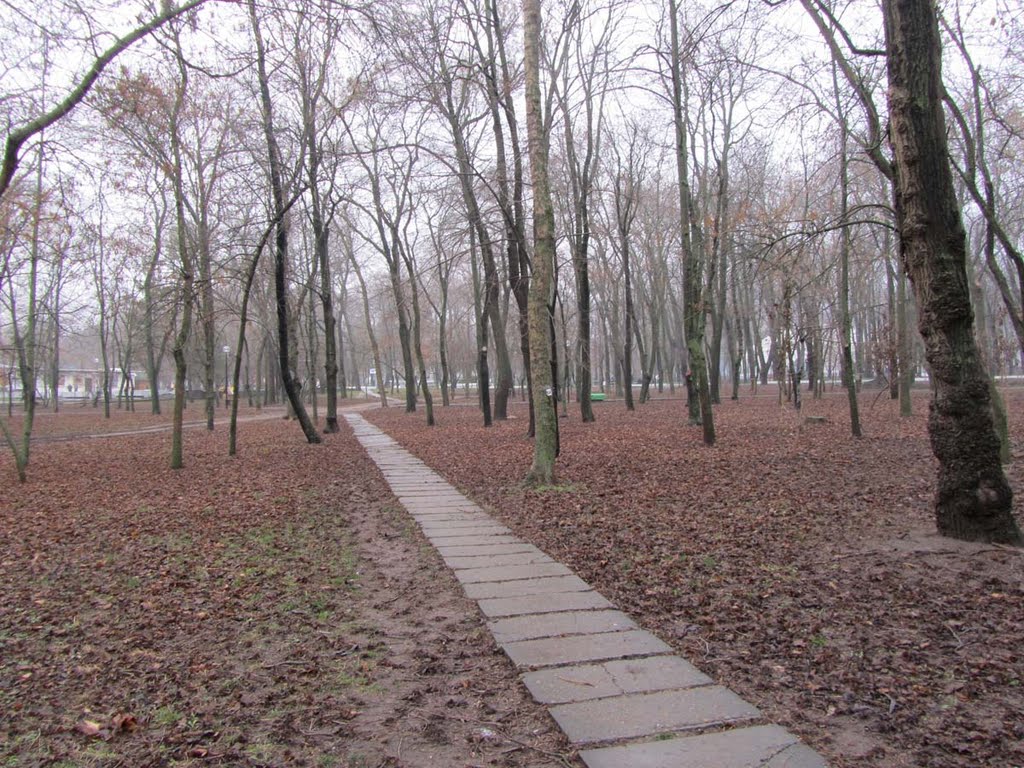 Park, Rostov-on-Don by Valentine Verchenko