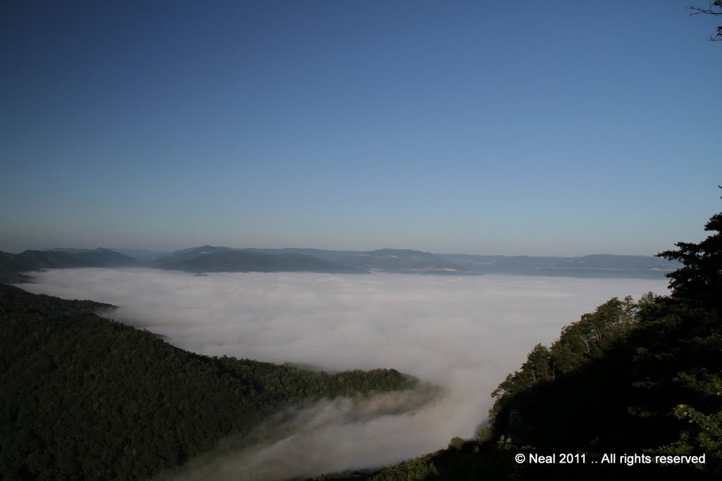 Fog pouring through the gap from Middlesboro, KY by NealPT