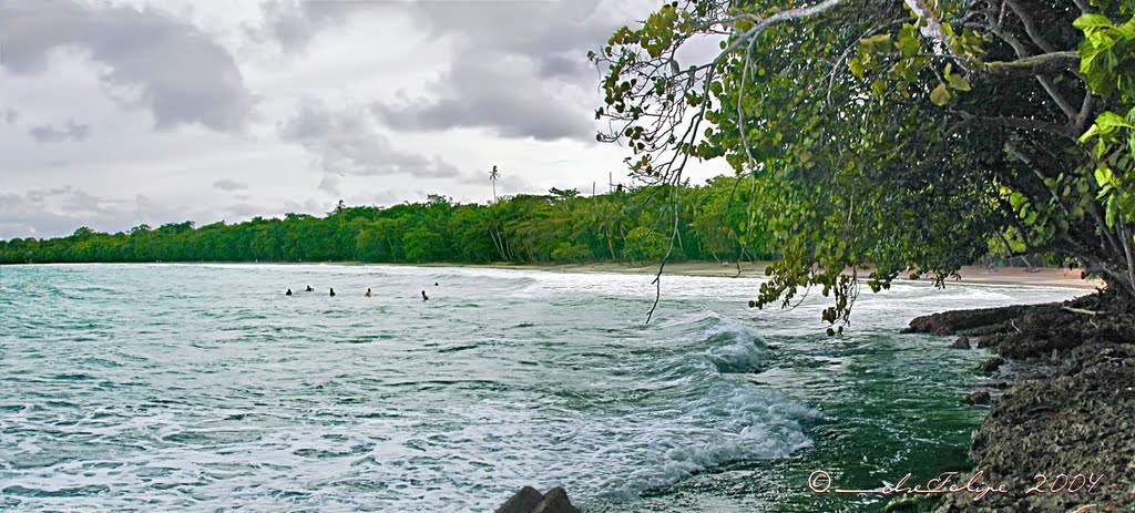 Costa Rica Caribbean----Playa Blanca, Parque Nacional Cahuita, Limón------------------------------------------My email: artehuetar@gmail.com by Melsen Felipe