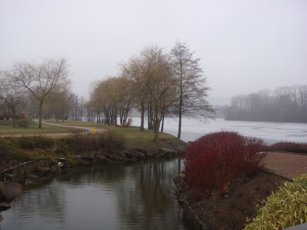 Etang l'évêque - SARREBOURG by Schnou