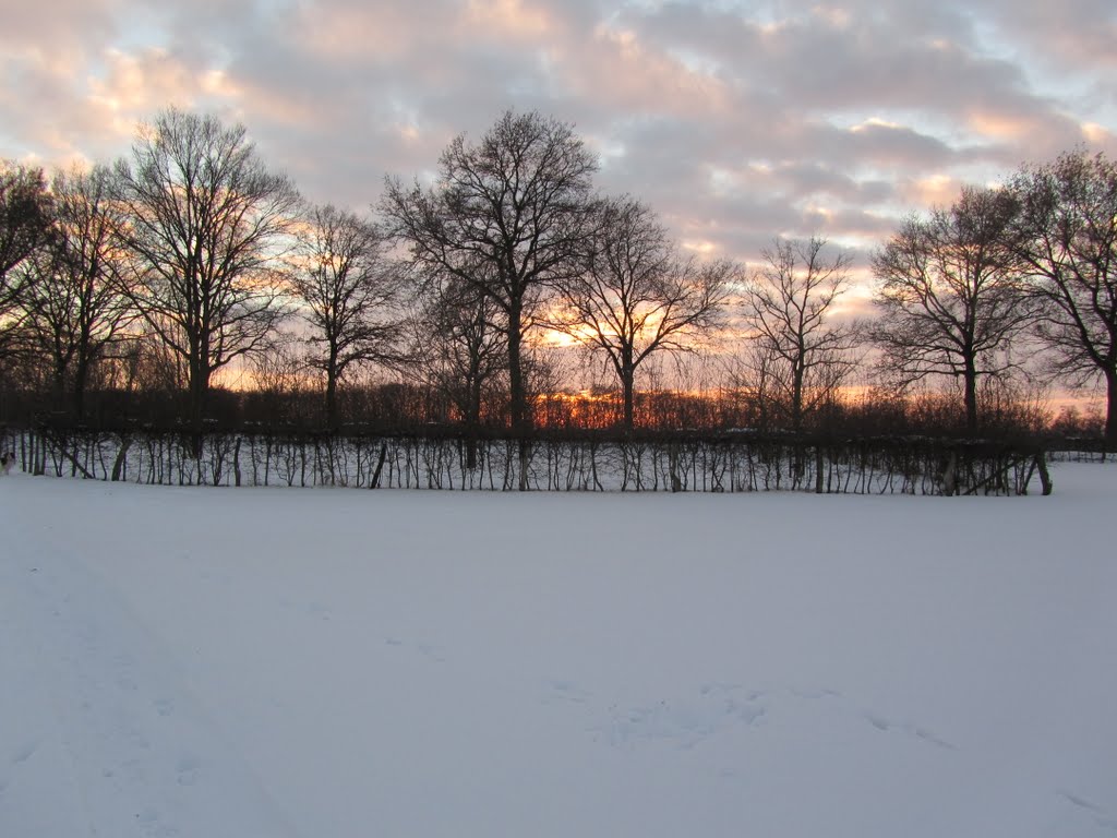 Winter 2010 in het veld by De Zwerver