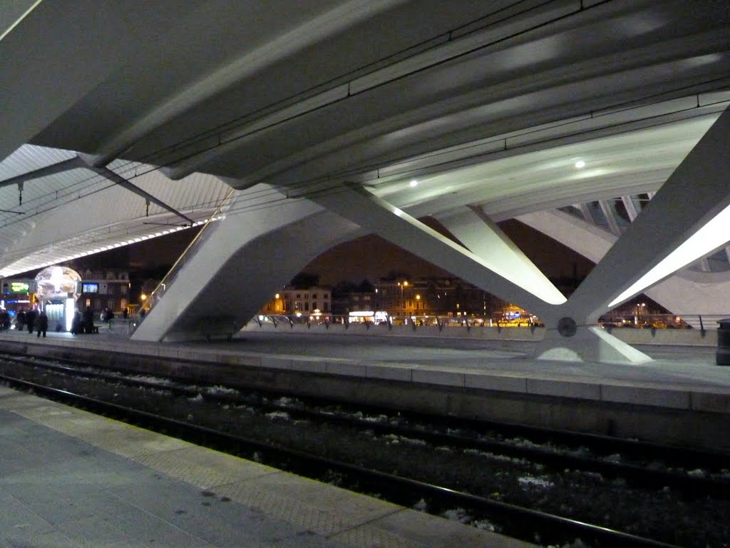 Gare Liège-Guillemins, Liège, Belgique, 2010 by Dang Chau Phien