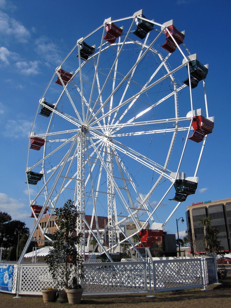 Ferris Wheel @ Downtown Square December 2010 by suznews