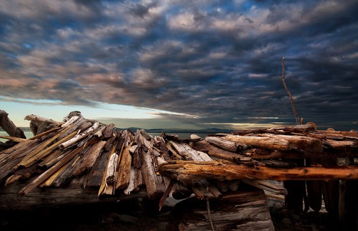 Shelter at Davis Bay by Martin Nichols