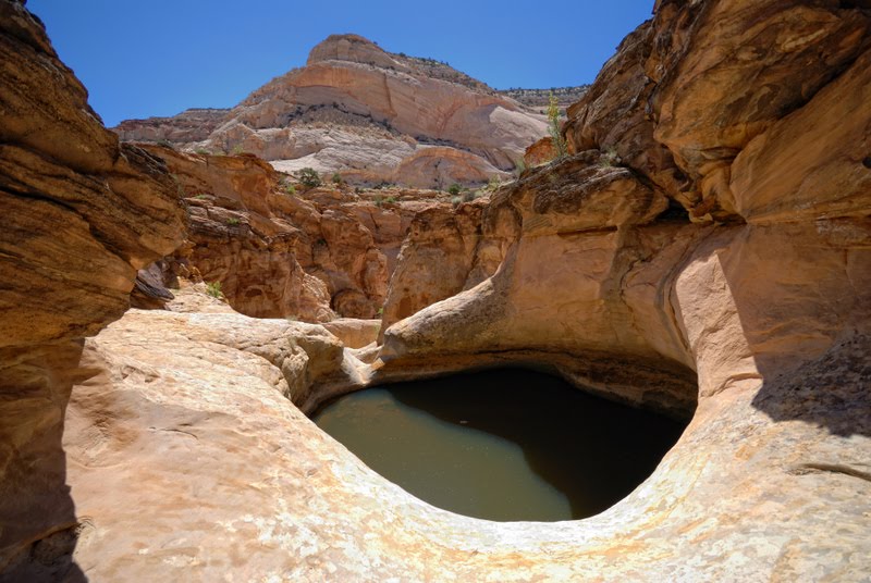 Capitol Reef National Park 13 by dihugo