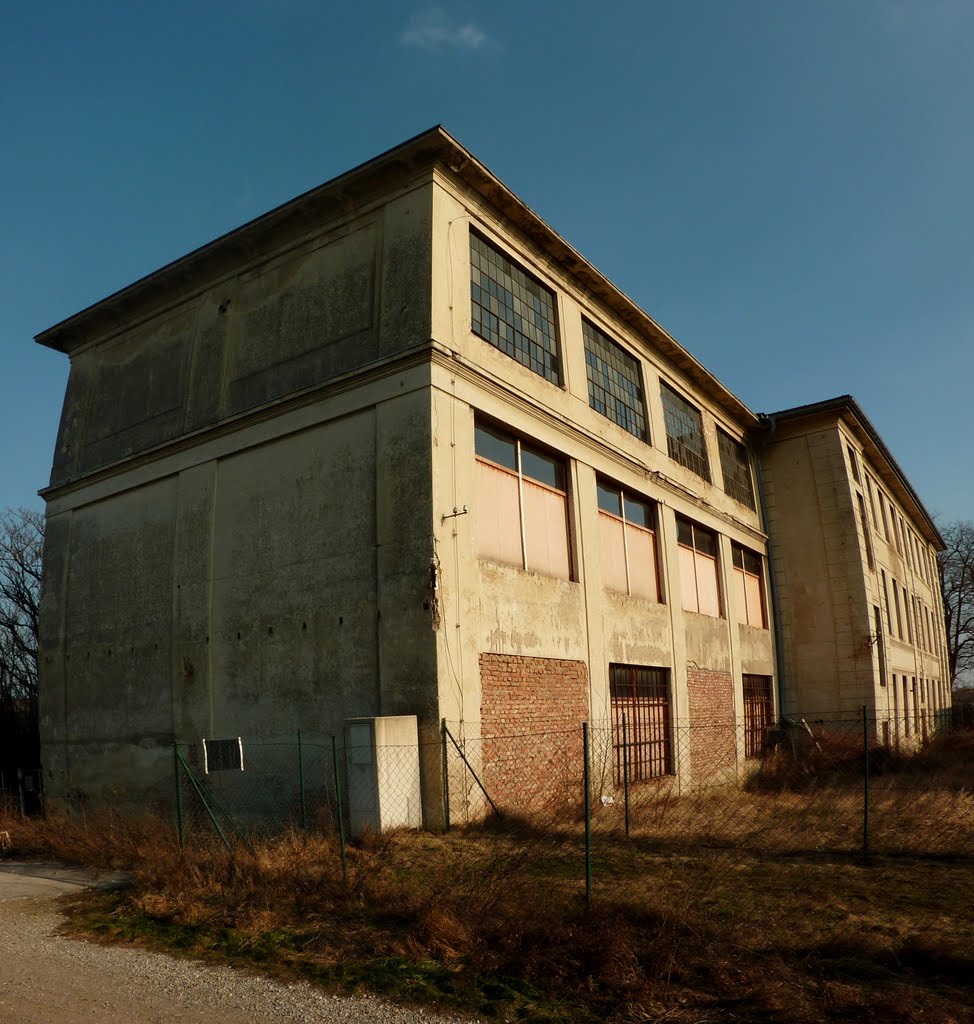 Altes Flugfeld - panorama (27.12.2010) by lorenzlubos