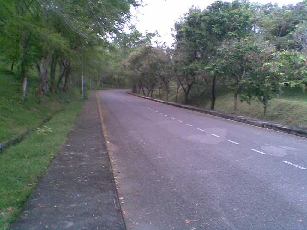 LongStreet Arun by Naufal Fadhil