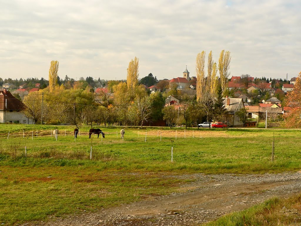 Hosszúhetény by Lovaszi Jozsef (Szeg…