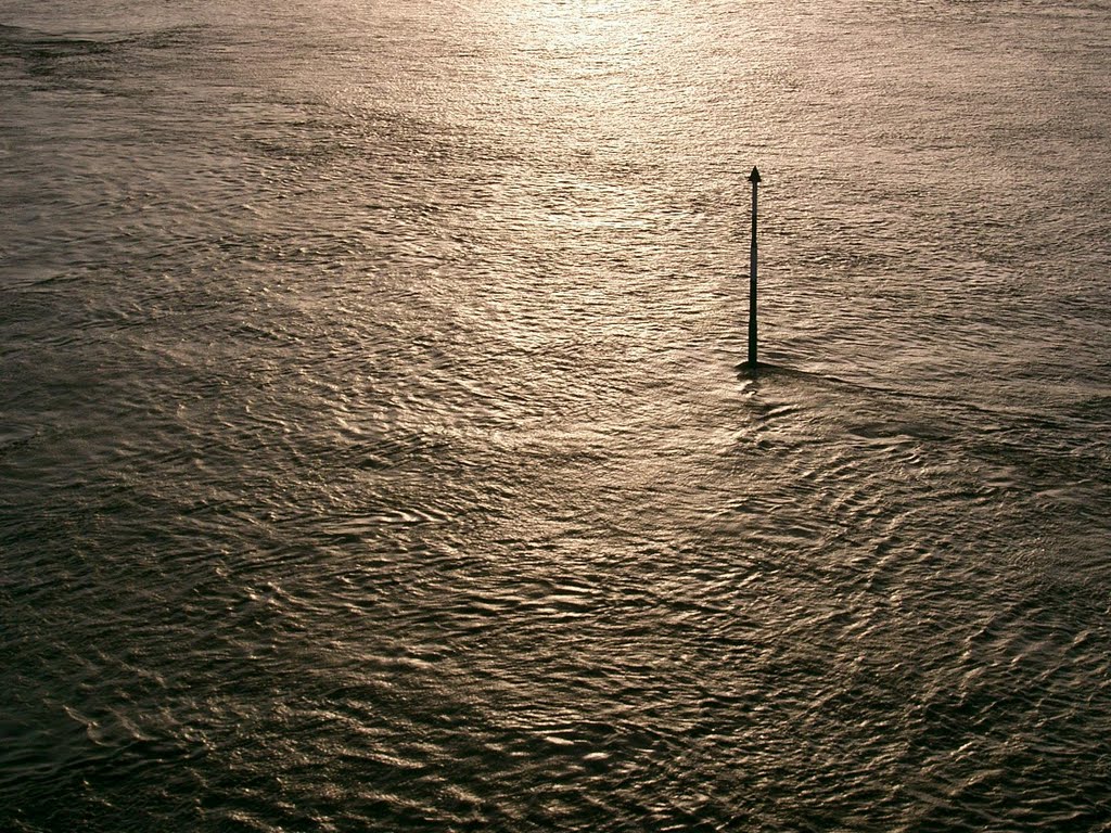 Rhine from Kniebrücke by matteagle