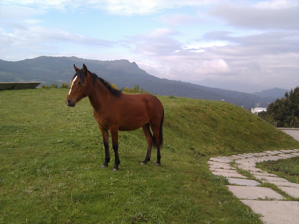 O Galiñeiro dende a UVigo by iagovarela