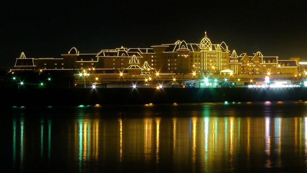 Disneyland hotel night view by myscenery