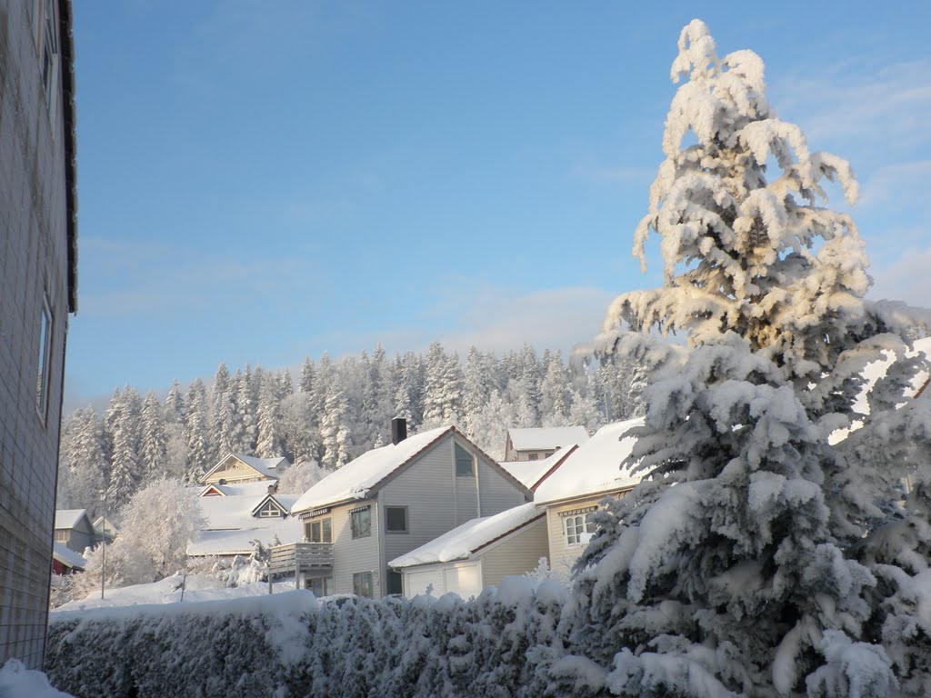 Vinter på Hekseberg by deodu (H. Buvik)