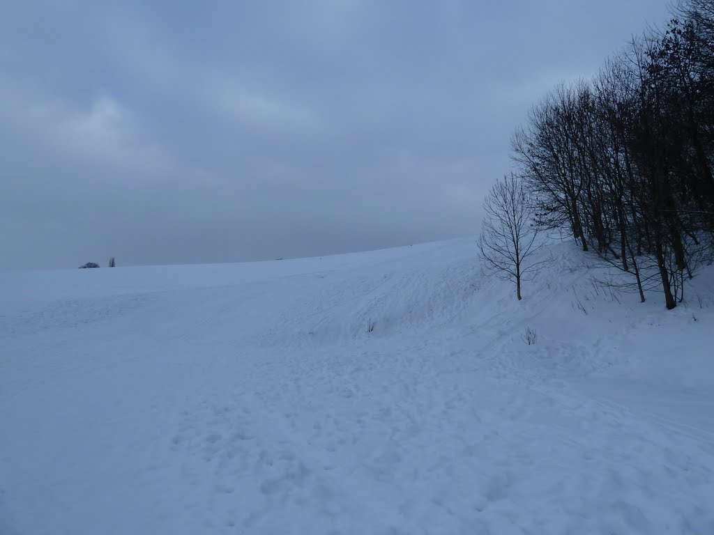 Noacks Wiese Rodeln in Roßwein by eckart@ggemeinhardt.de