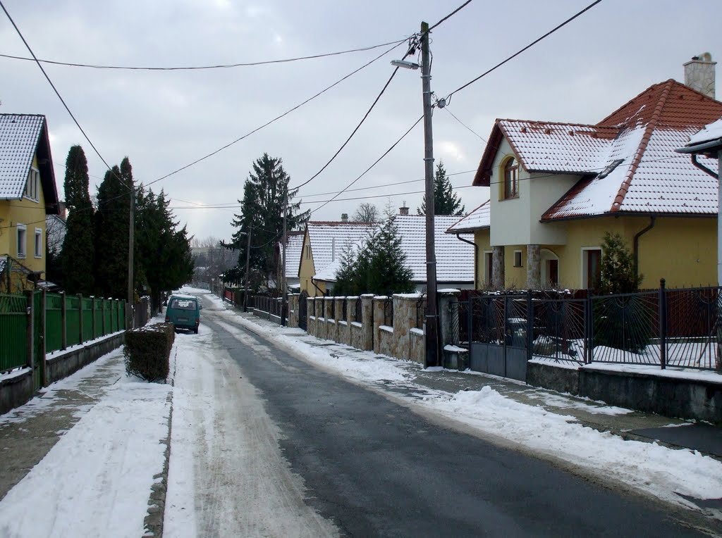 201101021223 Szentendre, Dr. Nagy Lajos utca by Harmadik