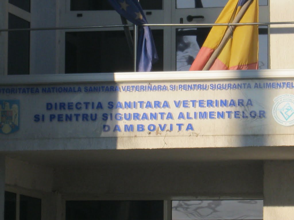 Direcţia Sanitară Veterinară pentru Siguranţa Alimentelor Dâmboviţa (siglă) by Alexandru Gabriel Tu…