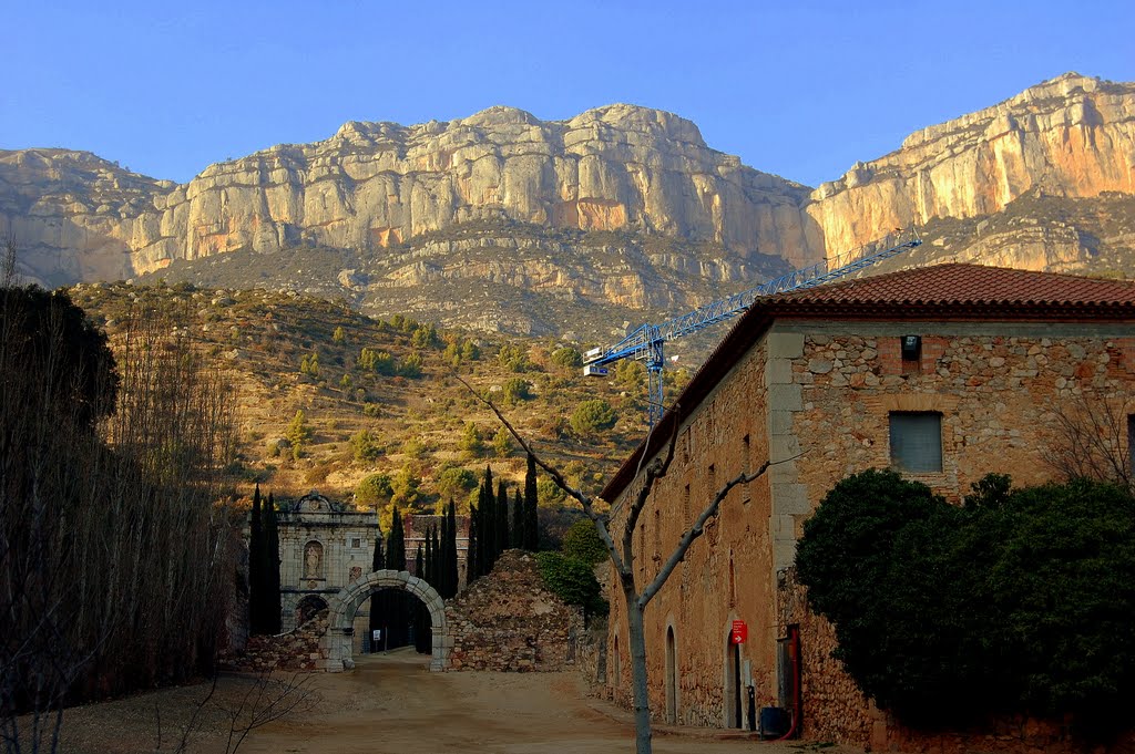 Sacala Dei, el Priorat, Tarragona by Angela Llop