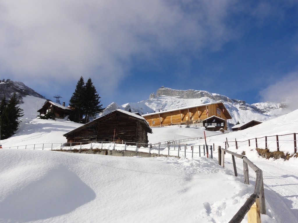 Mürren Birg by Max F