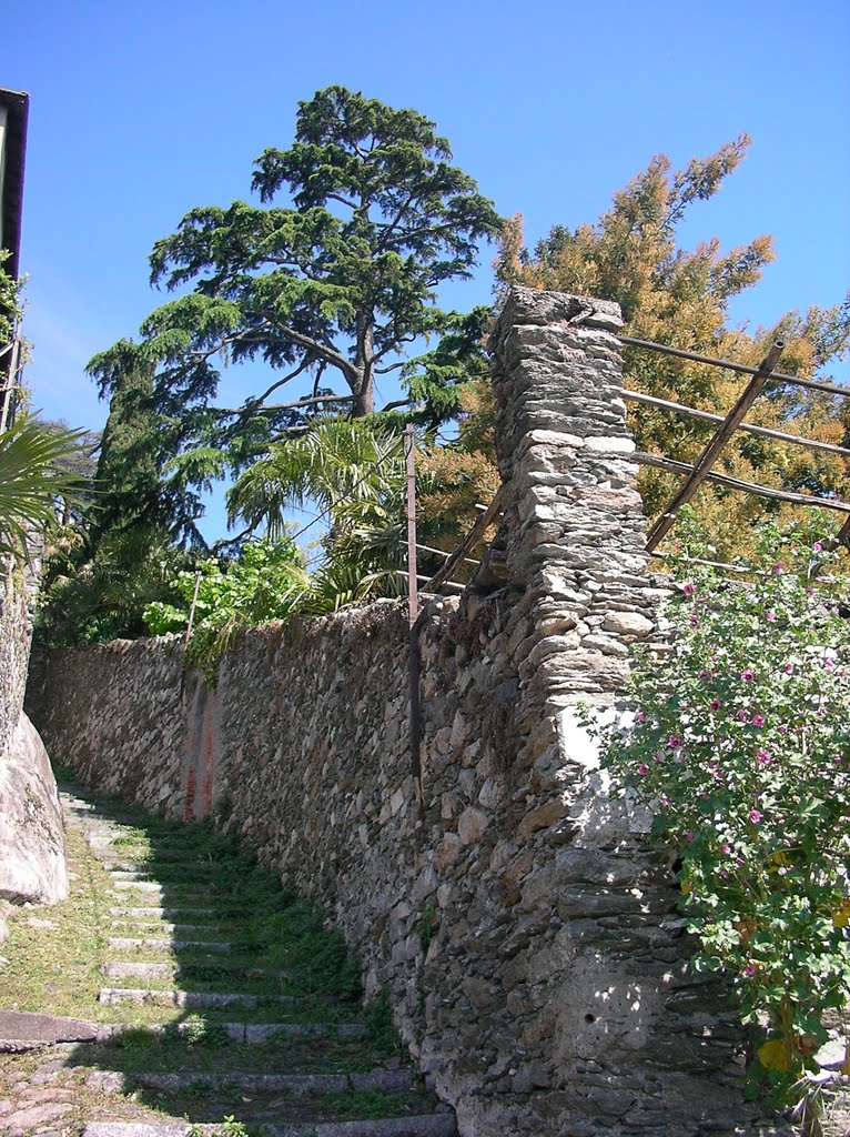 Rezzónico - Ich springe die malerische Steintreppe hinunter zum Ufer. Angelika geht derweil zum Bäcker, wartet umsonst… by ReinhardKlenke