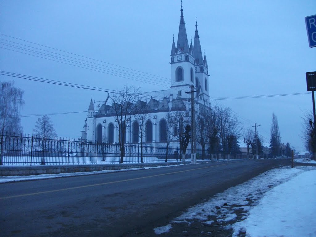 Ditrău 537090, Romania by Grigoras Danut Horga