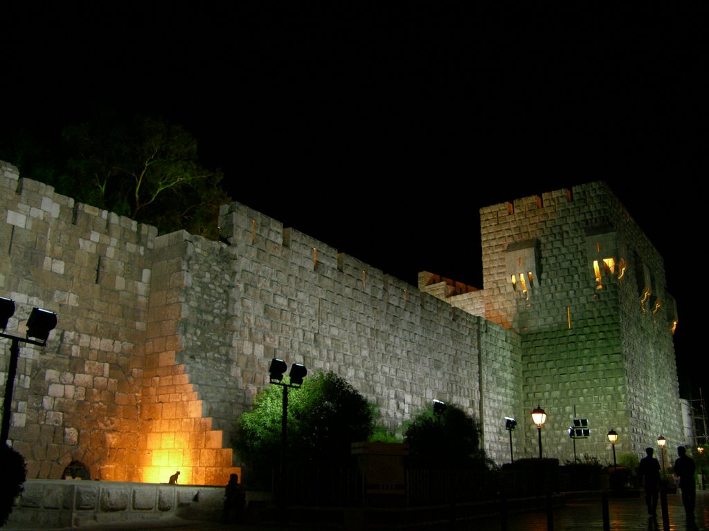 Damascus Castel by Talal Nahas