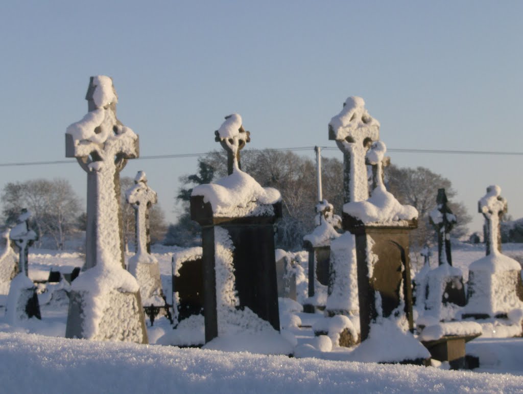 'Celtic Snow'. Mayo Abbey. by colwynboy