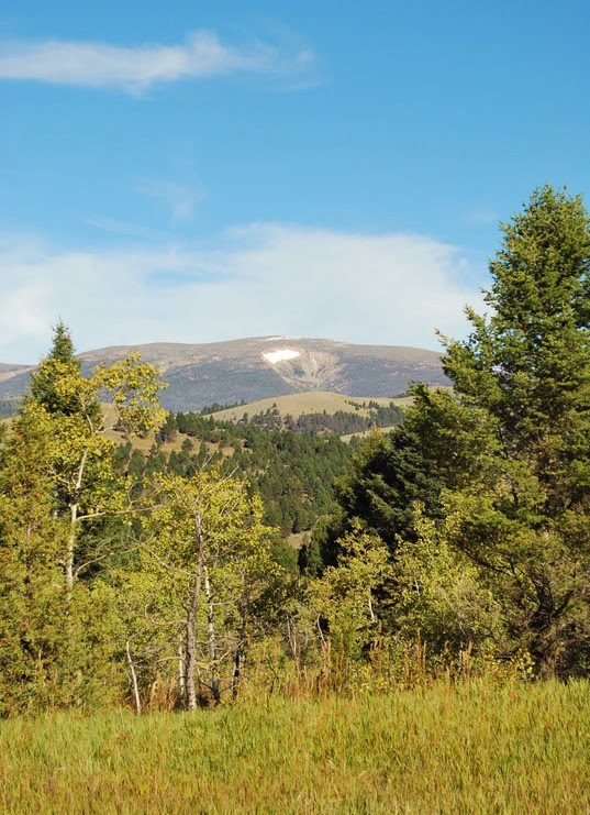 Skidway Campground, Helena National Forest, Montana by PDX Effects