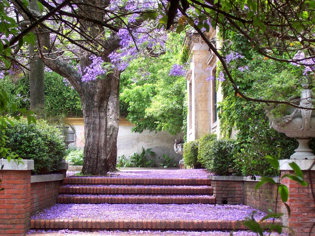 Jardín botánico by Gerardo Martín