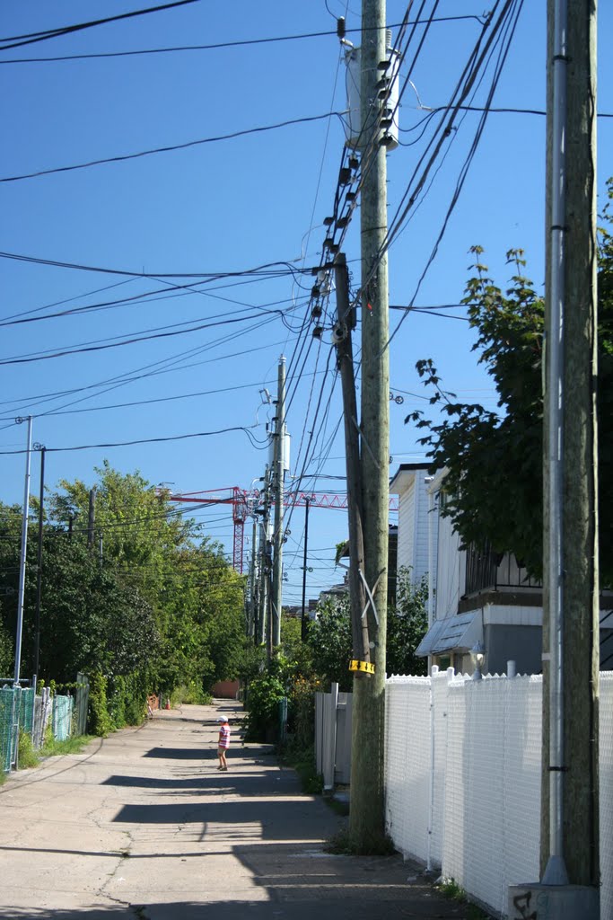 La Petite-Patrie, Montreal, QC, Canada by Don Knight