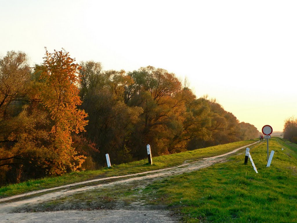 Boszorkánysziget, Tisza-töltés by Lovaszi Jozsef (Szeg…