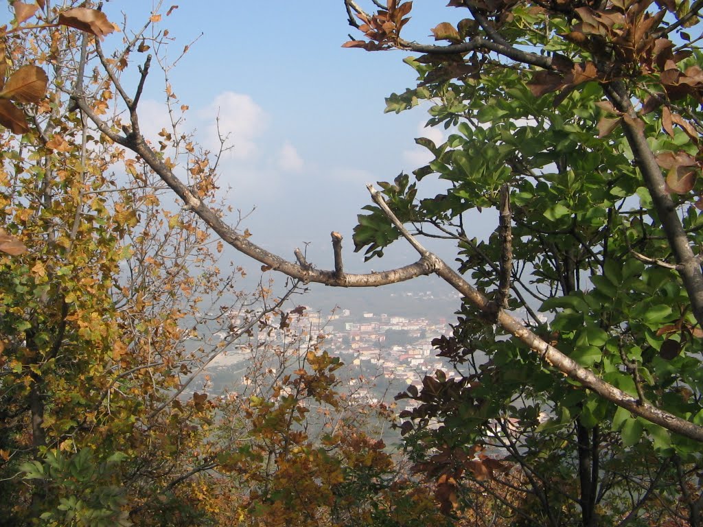 Medjugorje by giuseppe trombi