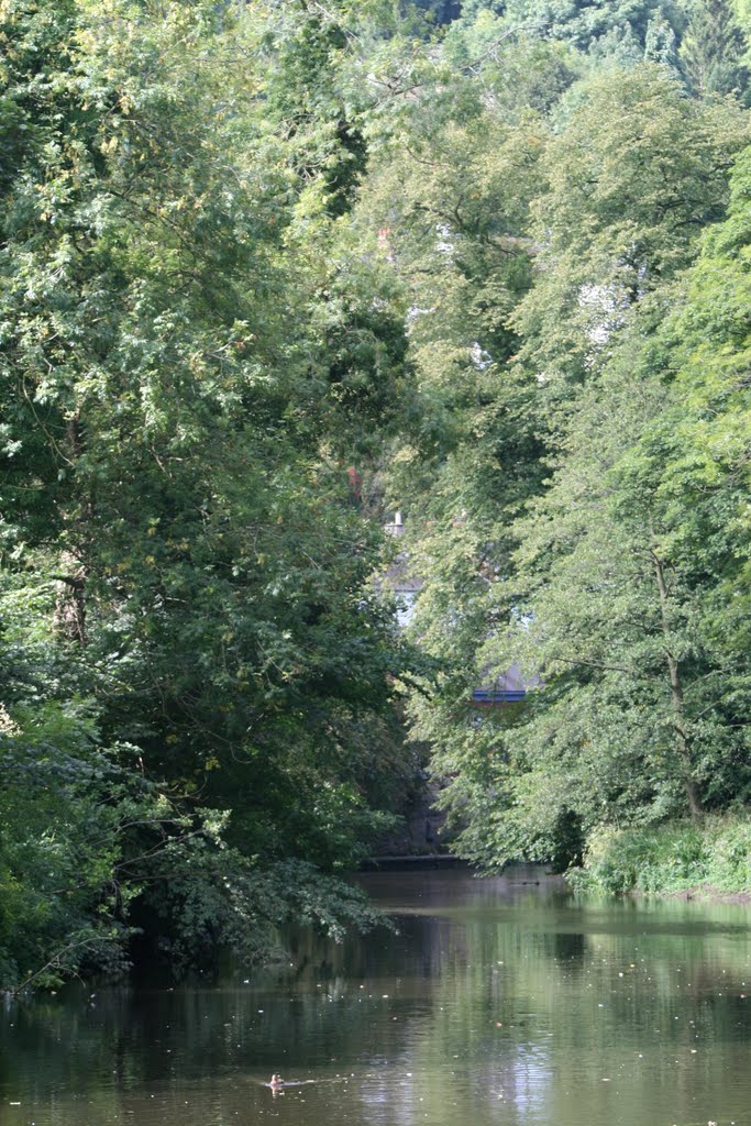 River Scene, Matlock Bath by watergypsy