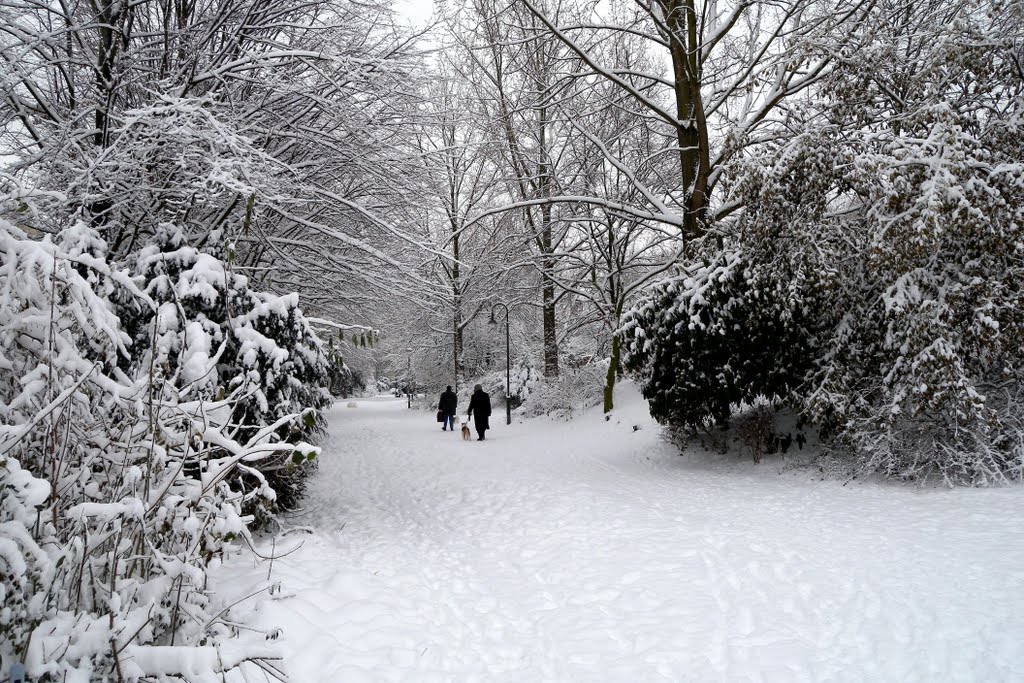 Winter 2010, am alten Hoxbachlauf by Thomas Laur