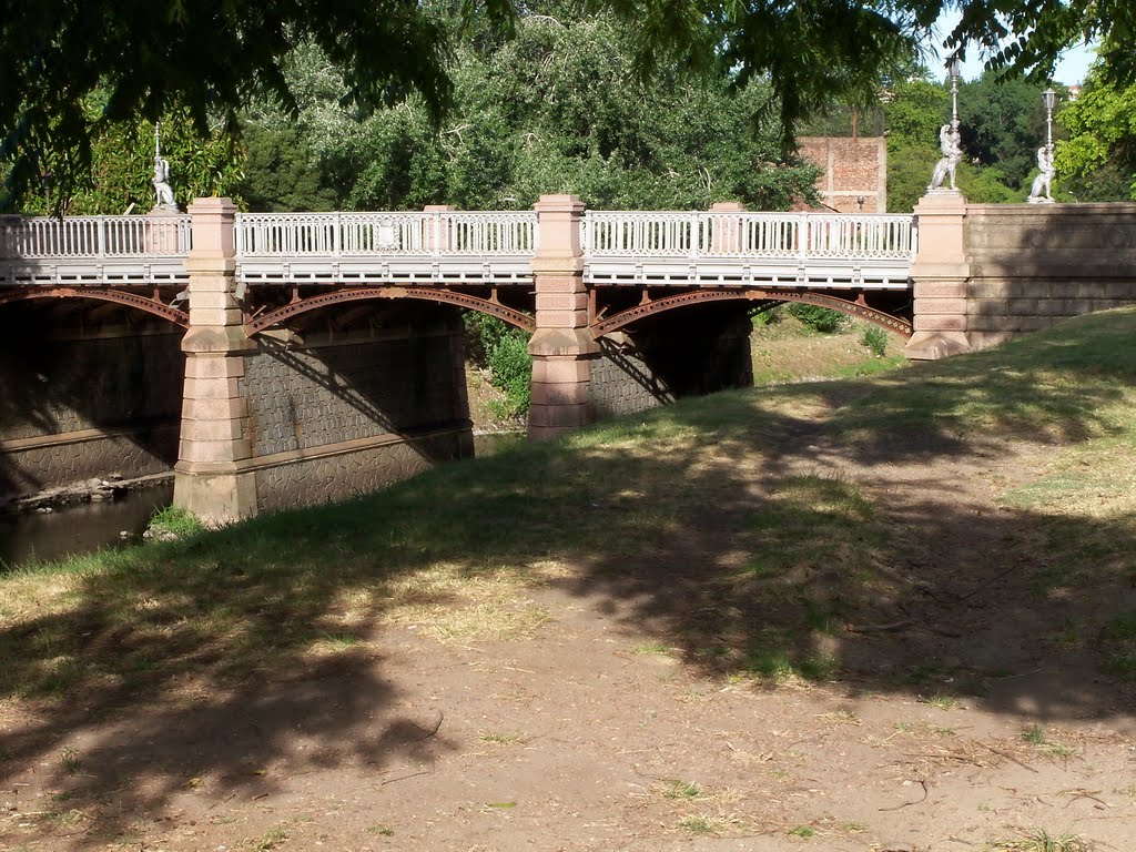 Puente sobre el Arroyo Miguelete "El Prado" - Montevideo, Uruguay by Javier Mañana