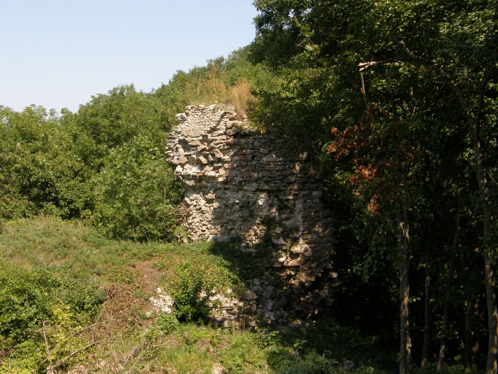 Hainburg an der Donau, Röthelsteinský hrad by X-01