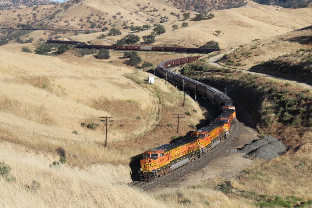 The "Worm" in Bealville Siding by Randy Murphy