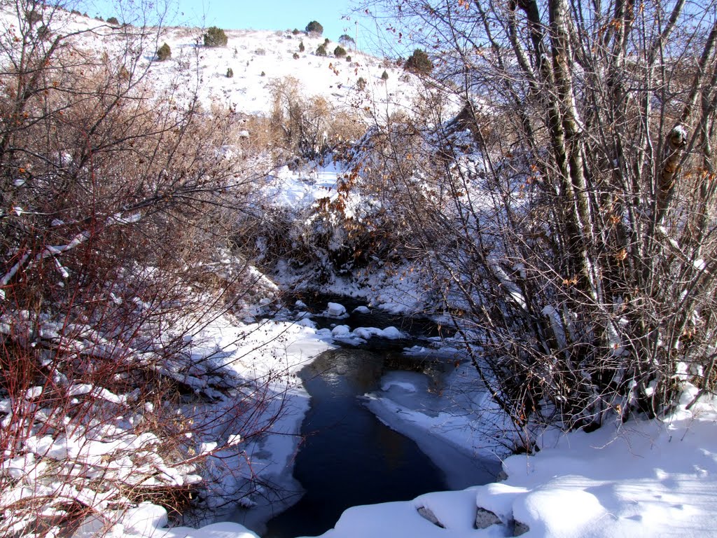 Mink Creek by JF Hobbs