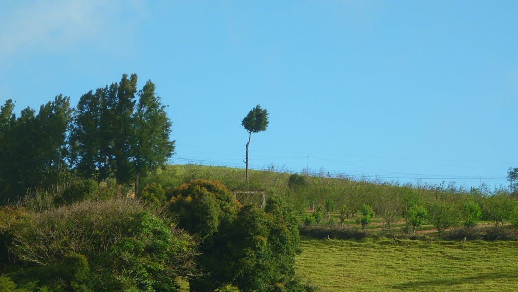 Campos de Alfaro Ruiz by CRvisor