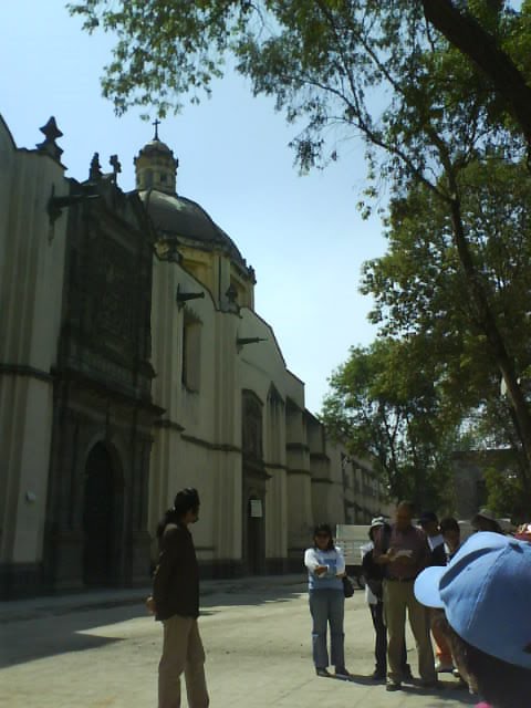 Plaza Regina by La Marquesa Cardoso