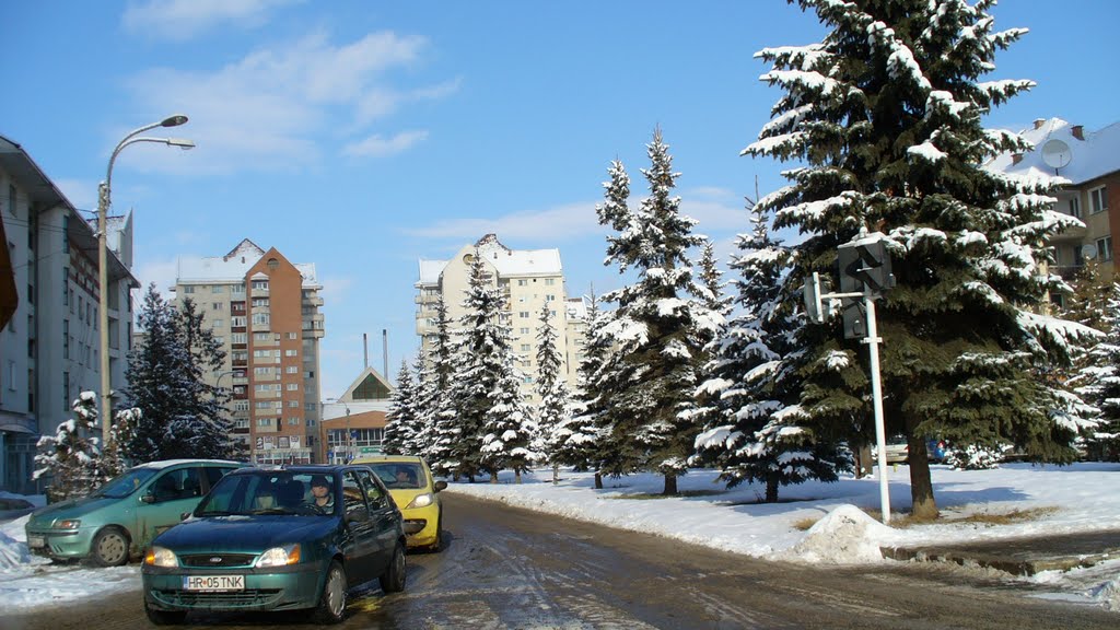 Miercurea Ciuc, Romania by Emil Cazamir