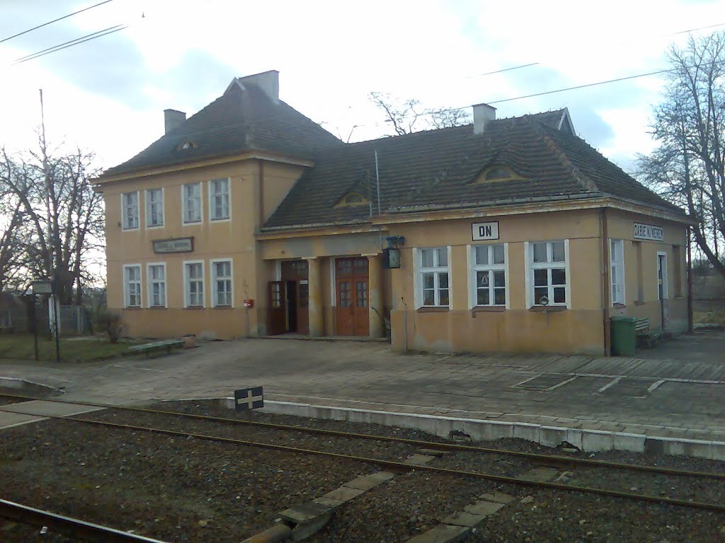 Dabie nad Nerem - Railway Station by Wyksztalciuch