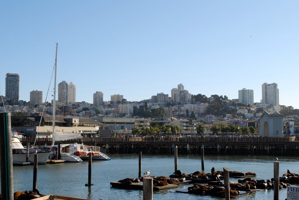 San Francisco - Town's view from Pier 39 by st.newbury