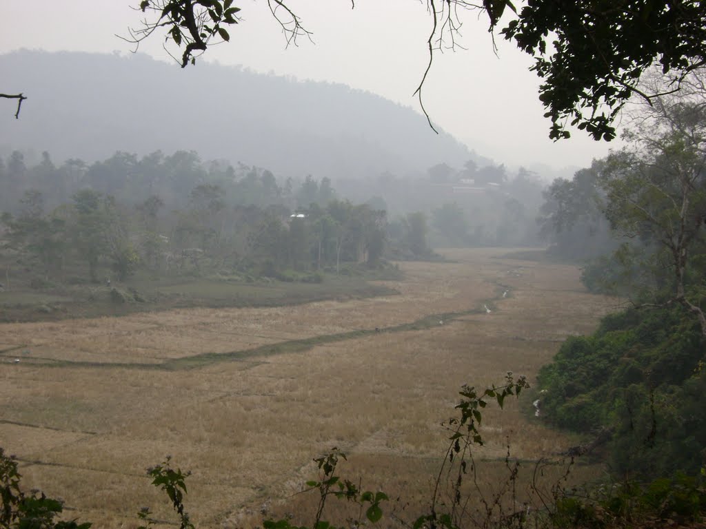 Unnamed Road, Assam 781035, India by Sudhendu Sengupta