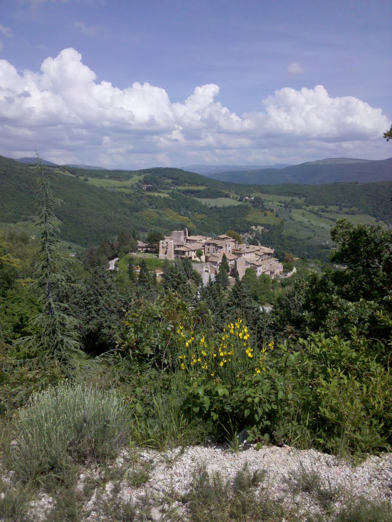 Collepino - Umbria, Spring 2010 by Dr. A. Ceccucci-Völk…