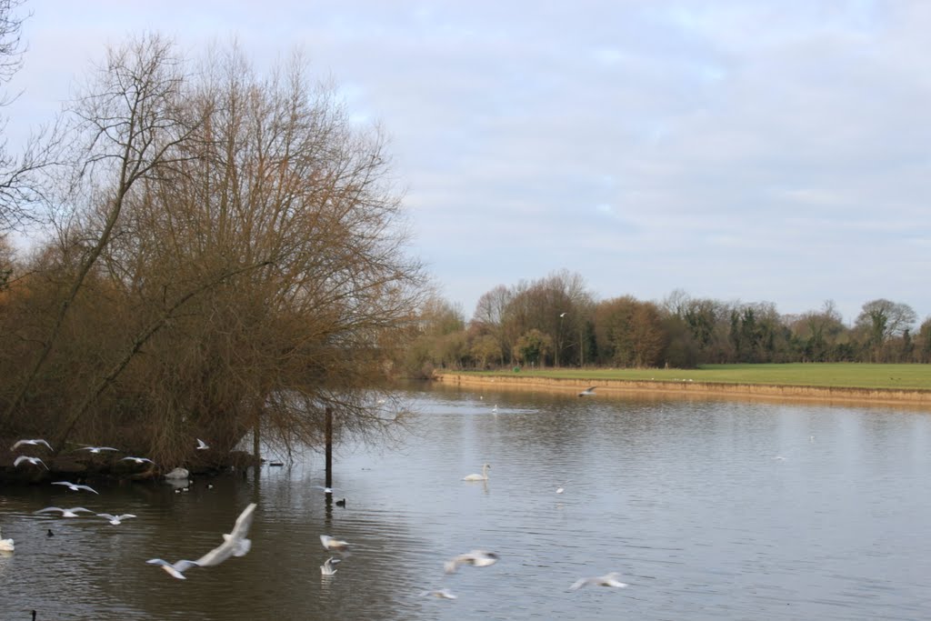 River thames at windsor uk by james t may