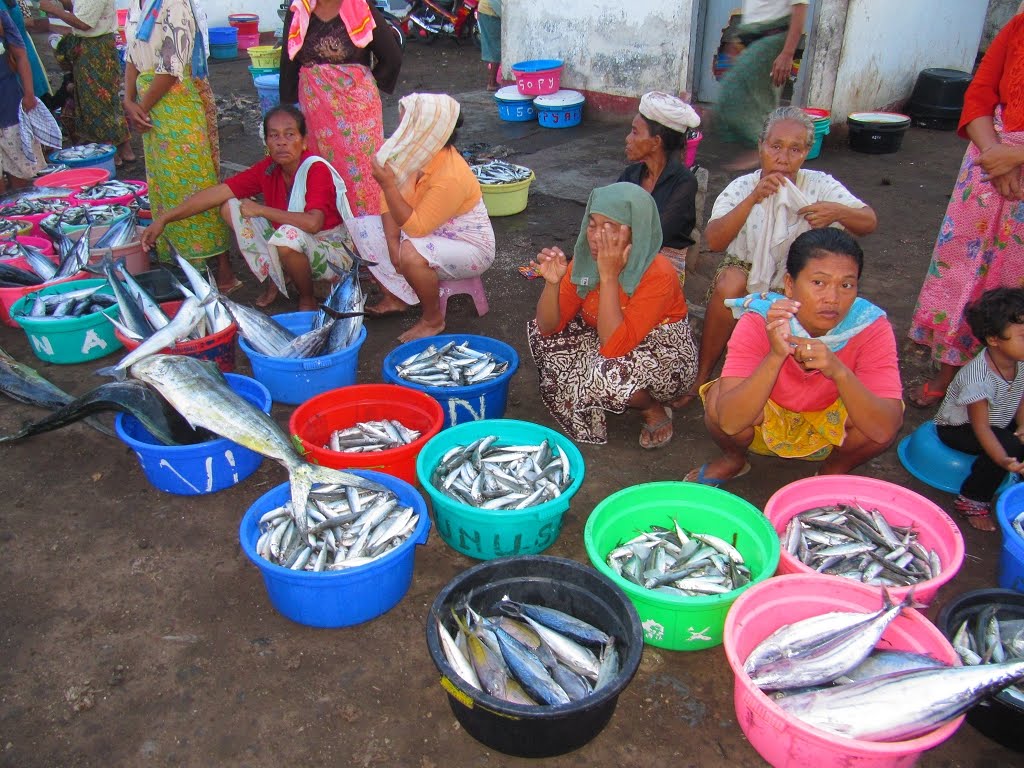 Haifischmarkt Tanjung Luar by A.Weisser