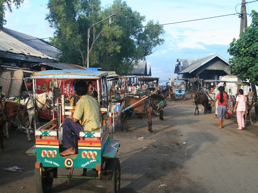 Haifischmarkt Tanjung Luar by A.Weisser