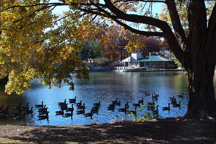 Crystal Lake Park by lyoshastudio