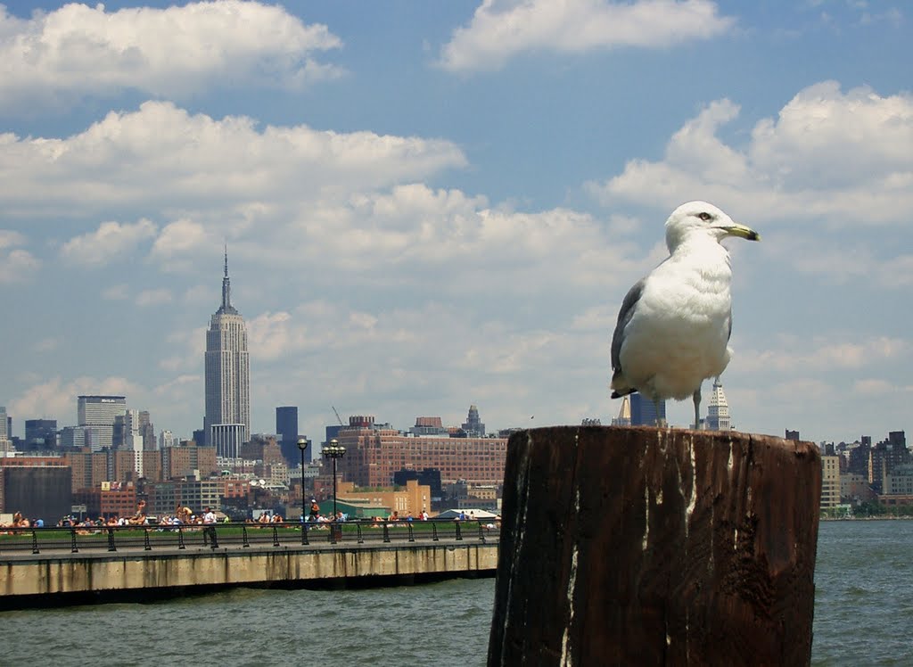 Towards Empire State Building, NYC, from Hoboken, NJ by raxnurmi_AUT